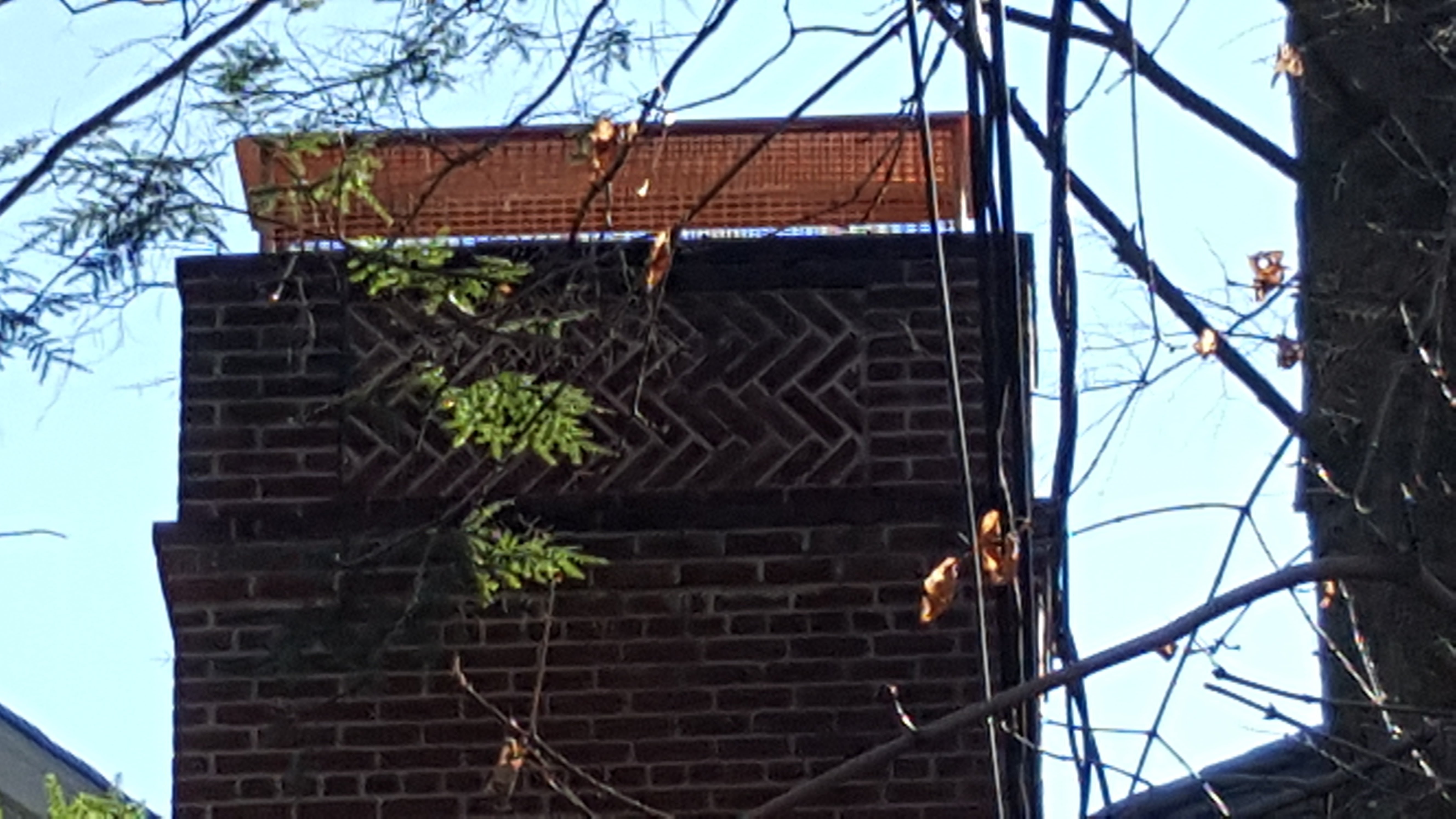 Animal-proof chimney cap protecting home in Amityville, New York